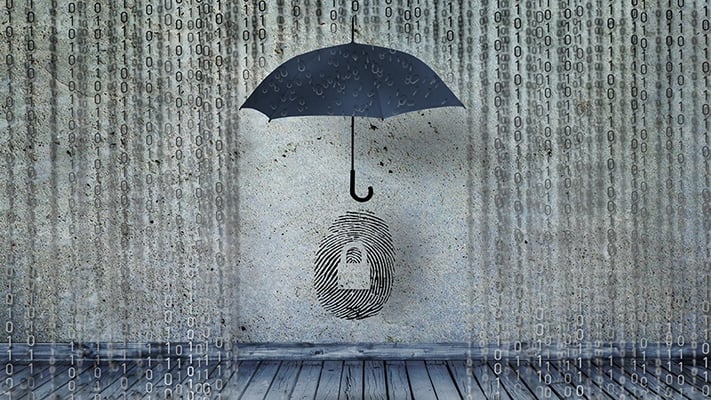 Data Security Checkpoints You Might Be Missing | Loffler
